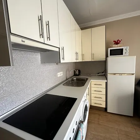 Apartment Holiday 아파트 *